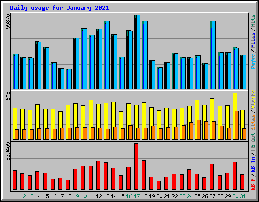 Daily usage for January 2021