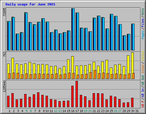 Daily usage for June 2021