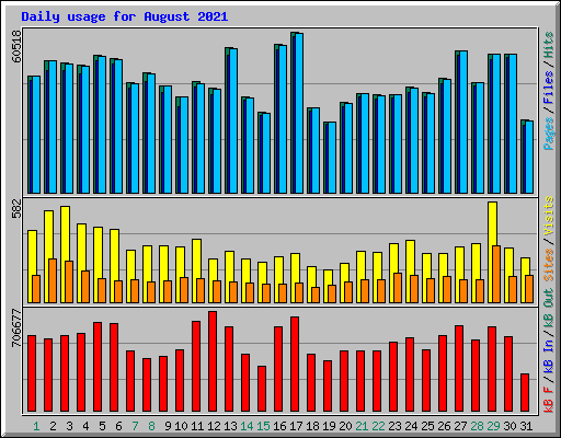 Daily usage for August 2021