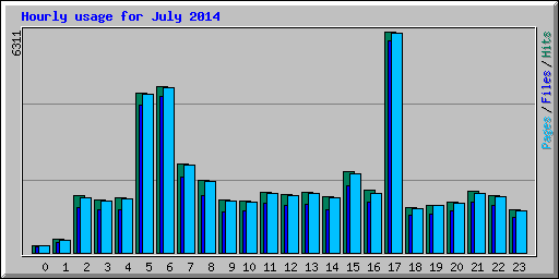 Hourly usage for July 2014