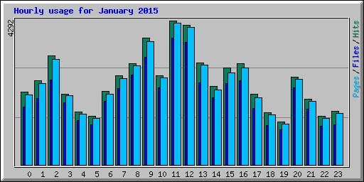 Hourly usage for January 2015