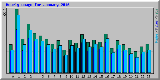 Hourly usage for January 2016