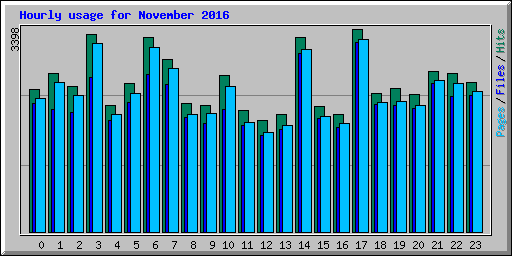 Hourly usage for November 2016