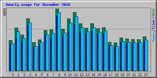 Hourly usage for December 2016