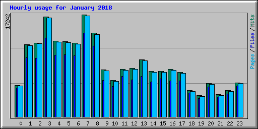 Hourly usage for January 2018