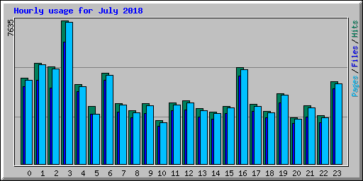 Hourly usage for July 2018