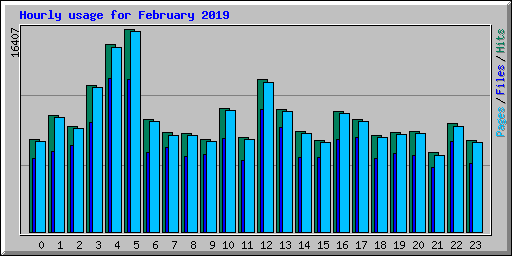 Hourly usage for February 2019