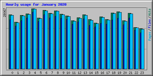 Hourly usage for January 2020