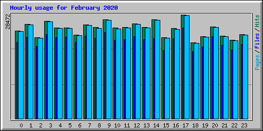 Hourly usage for February 2020