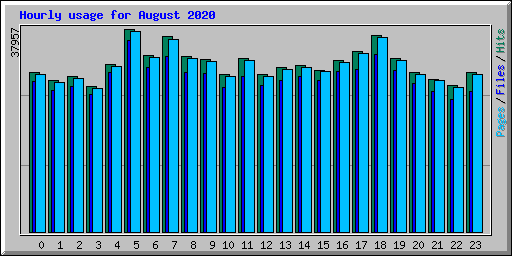 Hourly usage for August 2020