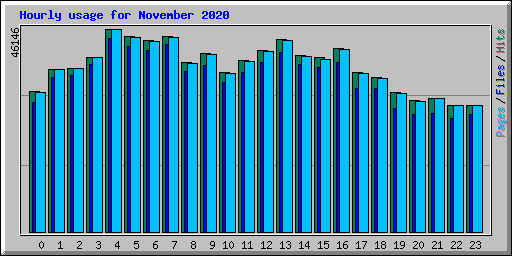 Hourly usage for November 2020