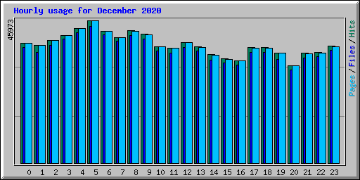 Hourly usage for December 2020