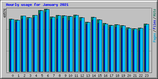 Hourly usage for January 2021