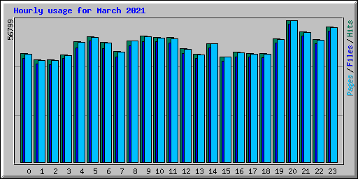 Hourly usage for March 2021