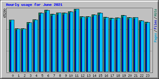 Hourly usage for June 2021
