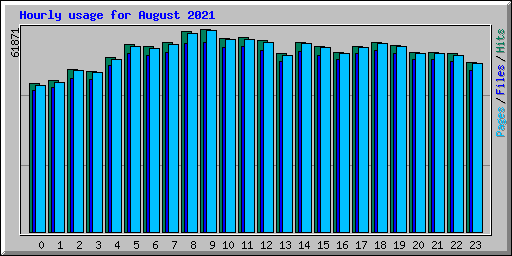 Hourly usage for August 2021