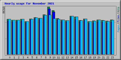 Hourly usage for November 2021