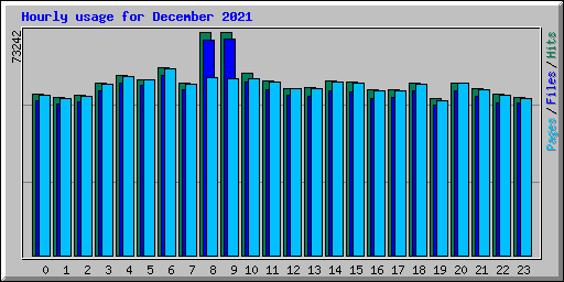 Hourly usage for December 2021