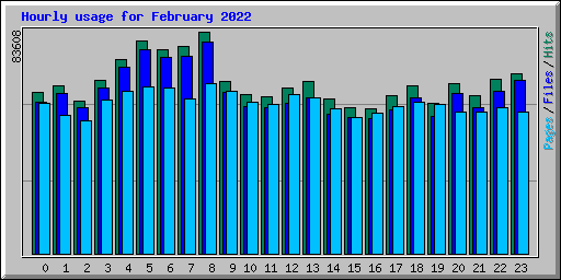 Hourly usage for February 2022