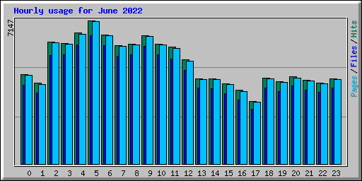 Hourly usage for June 2022