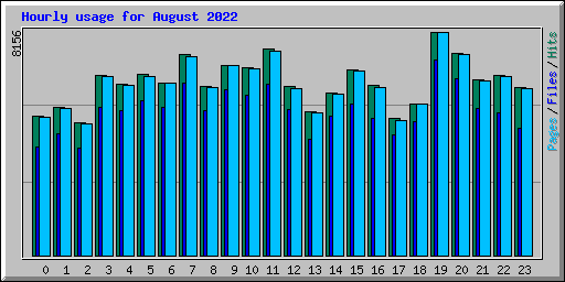 Hourly usage for August 2022
